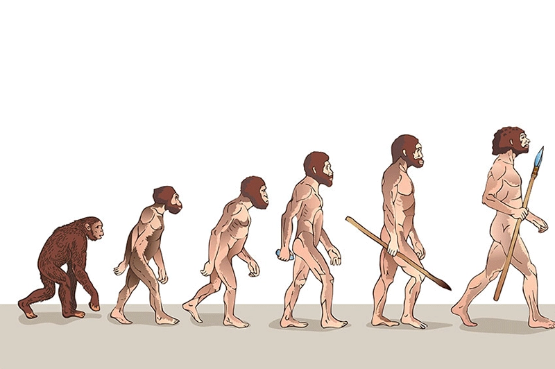 Perché gli esseri umani sono diversi 